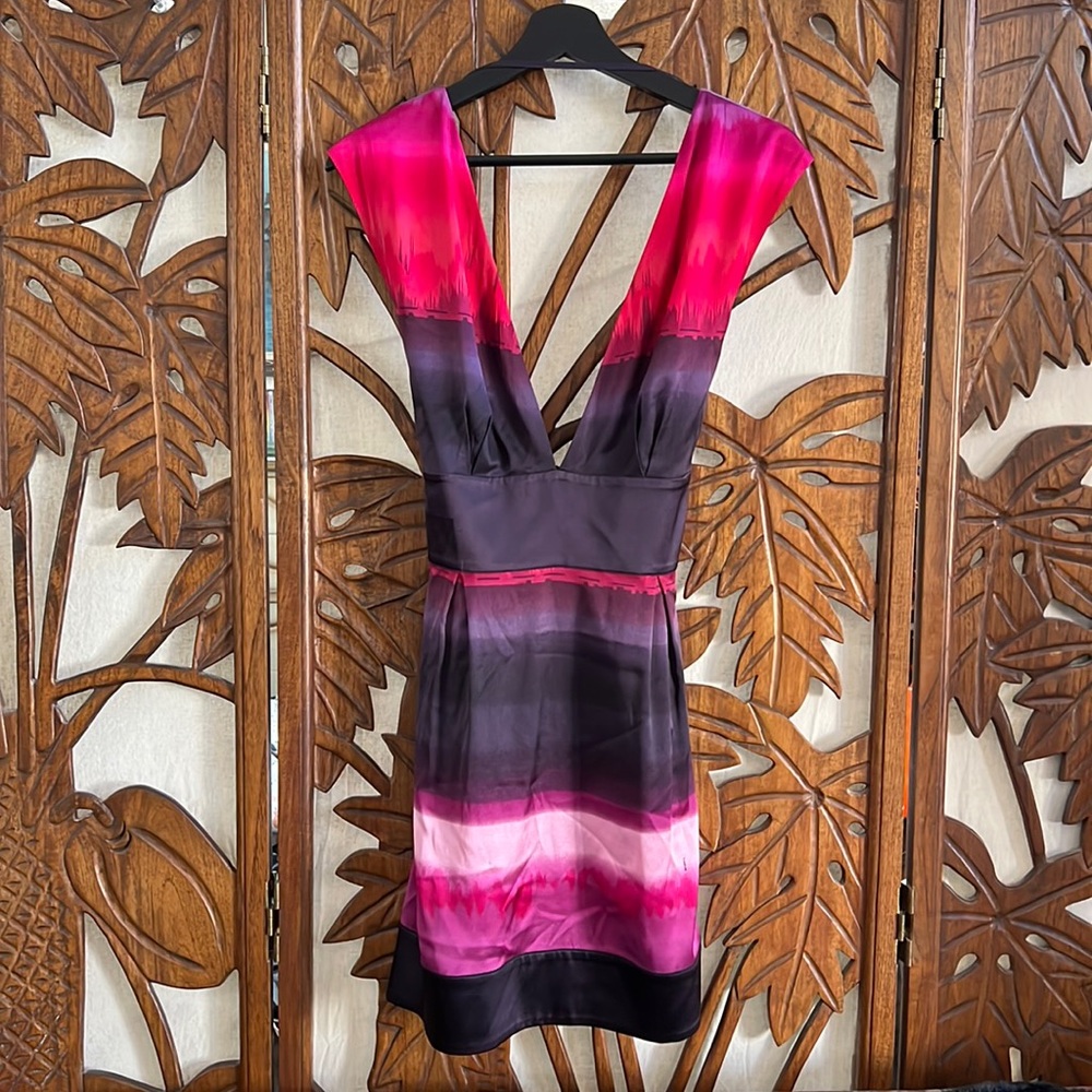 Gorgeous Silk & Spandex plunge neckline Bebe dress